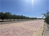 Chính chủ bán gấp bán lô 2411m2 ngã ba Bầu, Hòa Thắng, Bắc Bình, Bình Thuận.
