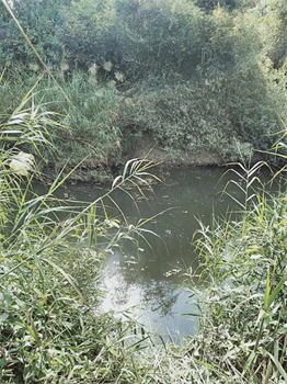 Bán đất