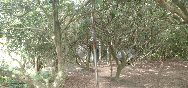 /Uploads/_thumbs/images/caylaunamhamthang/8b9ecd7e427cbb22e26d.jpg