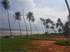 Hàng đẹp mặt tiền biển Hàm Tiến Mũi Né ngay thủ phủ Resort bán giá cho khách đầu tư.
