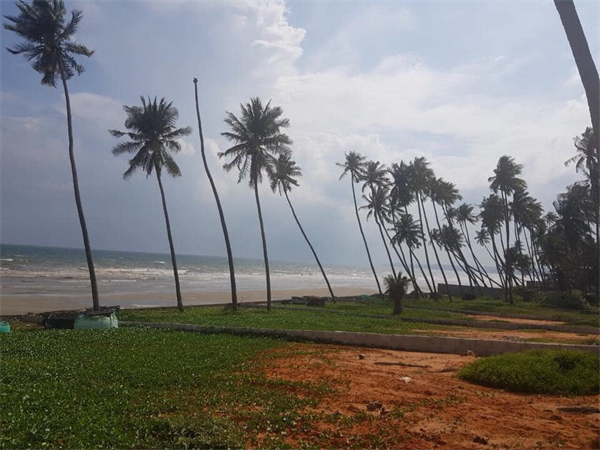 Hàng đẹp mặt tiền biển Hàm Tiến Mũi Né ngay thủ phủ Resort bán giá cho khách đầu tư.