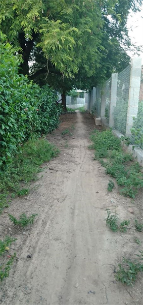 Bán 226m đất thổ cư thị trấn Phú Long, Hàm Thuận Bắc, Bình Thuân. 