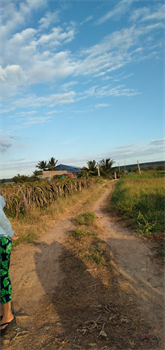 Bán đất